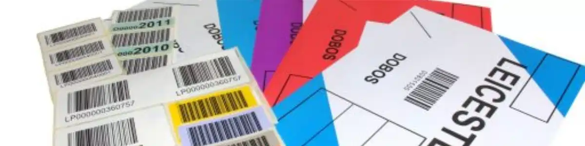 Variable Data Printing
